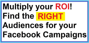 Facebook Custom Audience - Consumers > Behavioral > Interests > Local Buyers (USA)