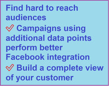 Load image into Gallery viewer, Facebook Custom Audience - Consumers &gt; Behavioral &gt; Interests &gt; Apparel Mens Big and Tall