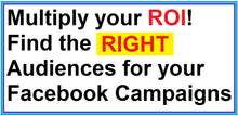 Load image into Gallery viewer, Facebook Custom Audience - Consumers &gt; Demographic &gt; Parents &gt; Children age 3 to 5, Female, Toddler, Pre-schooler