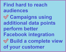 Load image into Gallery viewer, Facebook Custom Audience - Consumers &gt; Demographic &gt; Parents &gt; Children age 3 to 5, Female, Toddler, Pre-schooler