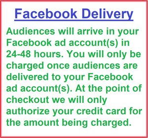 Facebook Custom Audience - Consumers > Behavioral > Interests > Apparel Childrens