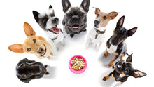 Load image into Gallery viewer, Facebook Custom Audience - Consumers &gt; Behavioral &gt; Interests &gt; Dogs