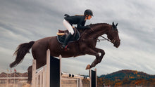 Load image into Gallery viewer, Facebook Custom Audience - Consumers &gt; Behavioral &gt; Interests &gt; Equestrian